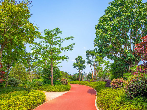 公園小路