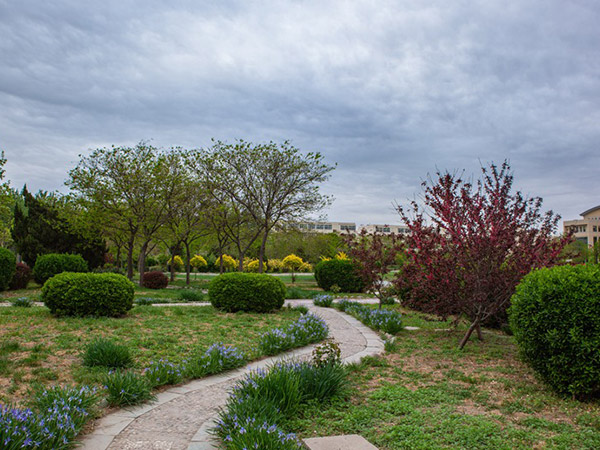 社區(qū)花園美景